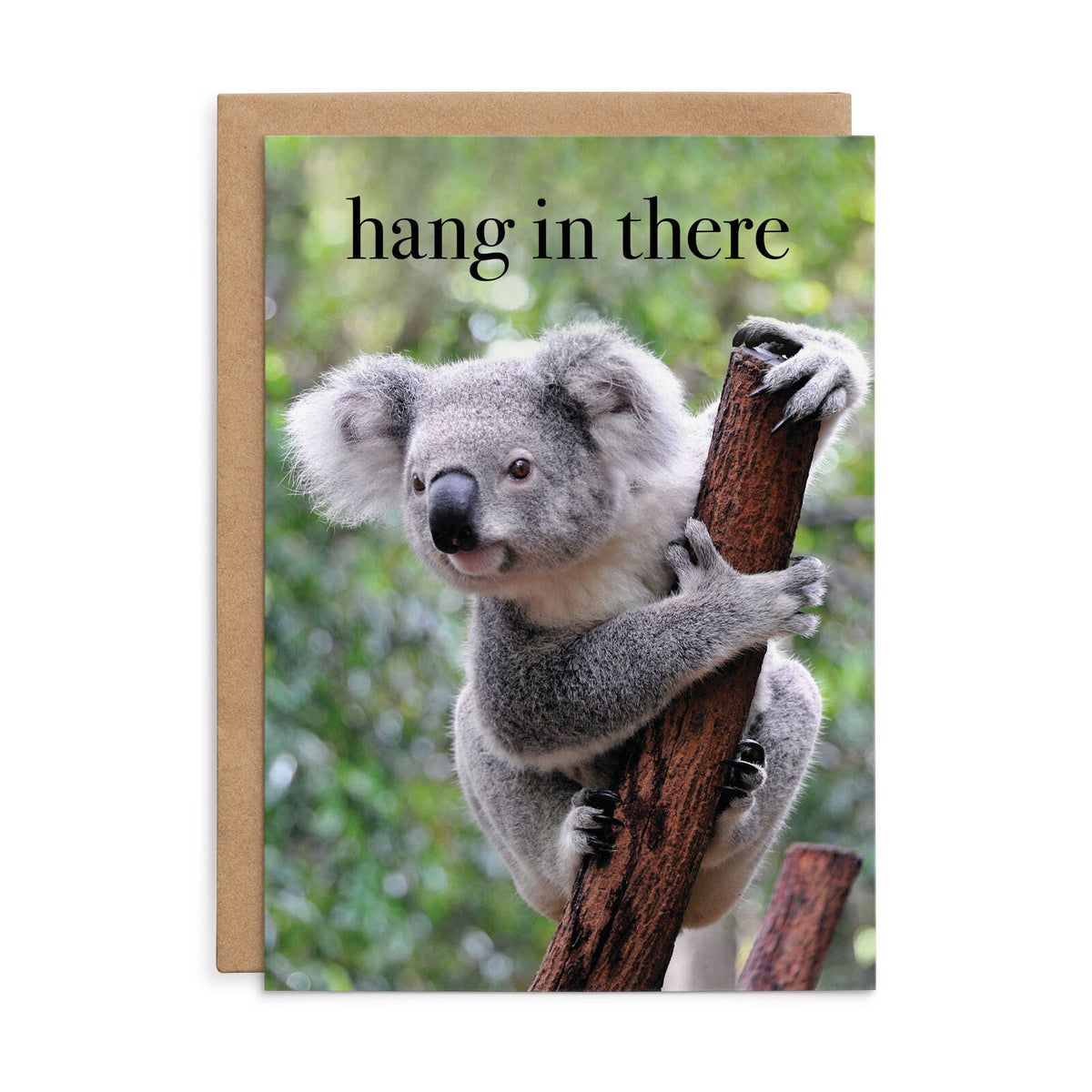 Hang in there | Animal Greeting Card