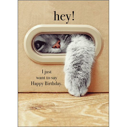Hey | Kitten Paw Animal Birthday Card