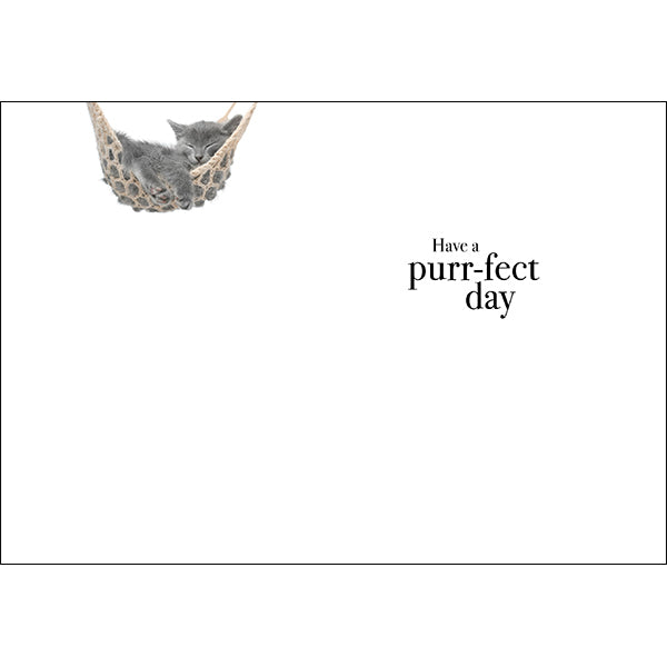 Hey | Kitten Paw Animal Birthday Card