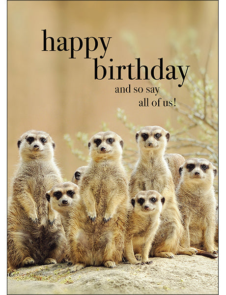 And so say all of us | Meerkats Animal Birthday Card