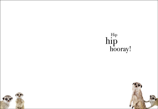 And so say all of us | Meerkats Animal Birthday Card