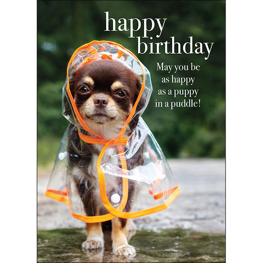 Puppy in a puddle | Dog Animal Birthday Card