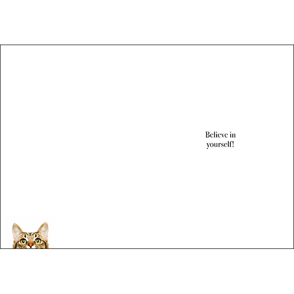 You are stronger than you think | Cat Inspiration Card