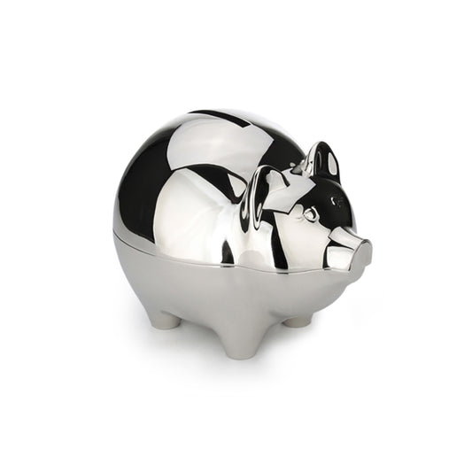 Faux Silver Piggy Bank Money Box