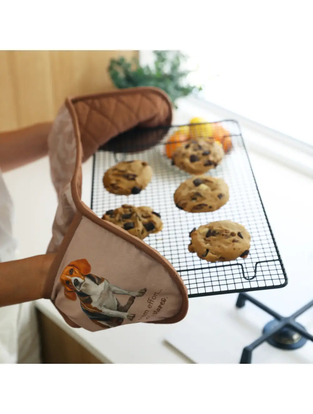 Cook's Companion Oven Mitt | Splosh