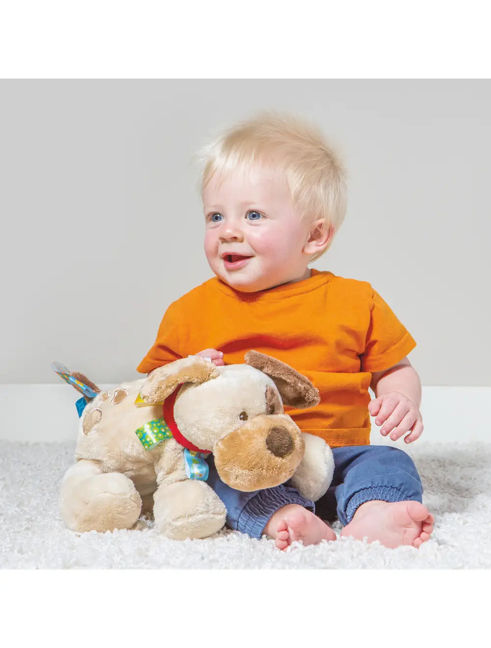 Taggies Buddy Dog Soft Toy 30cm | Mary Meyer