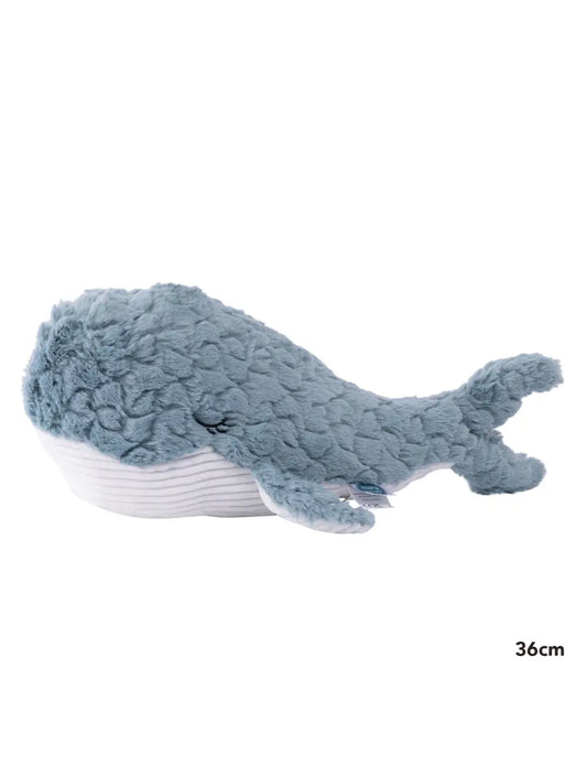 Putty Animal Whale 36cm | Mary Meyer