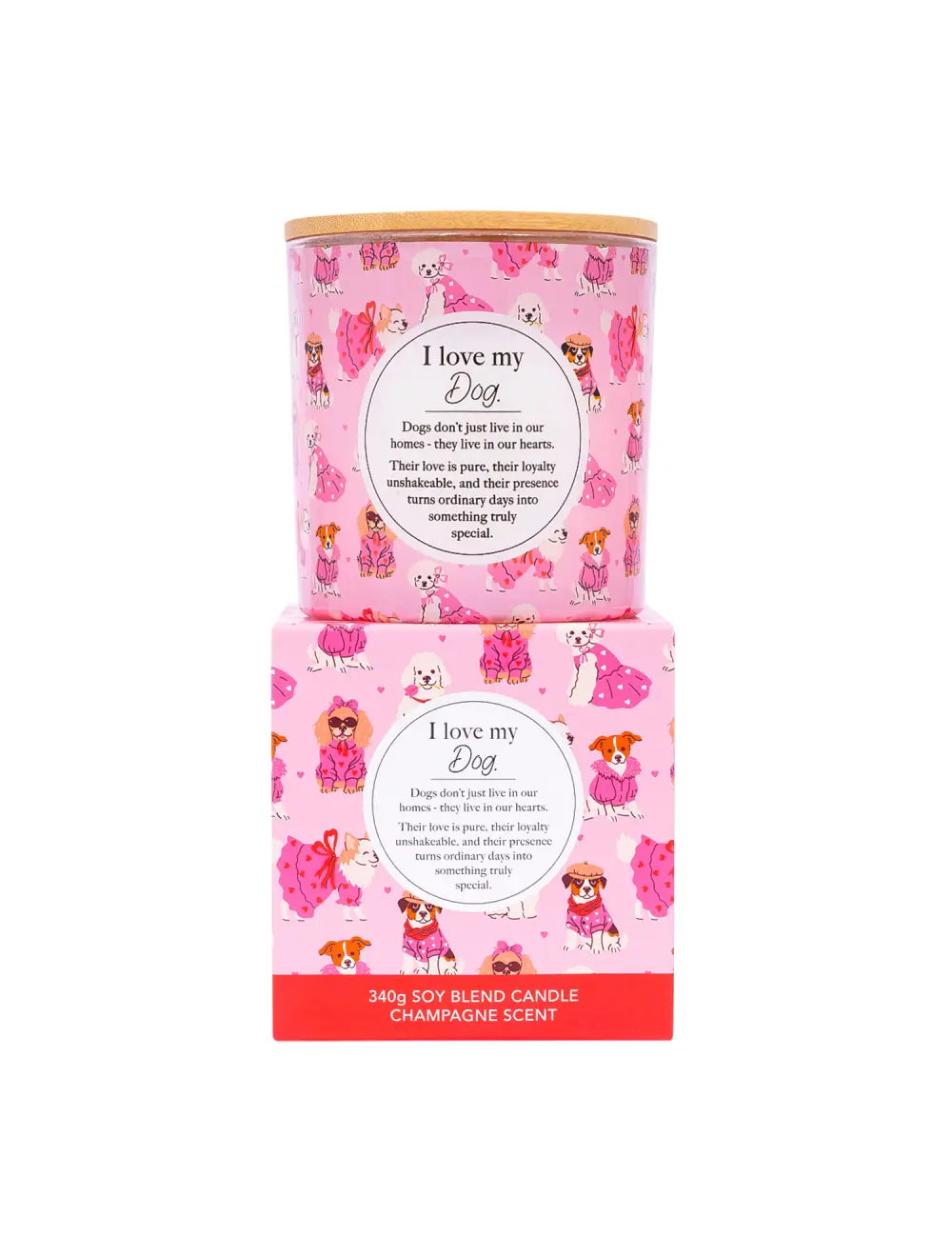 Meaningful Melts Dog Candle | Splosh