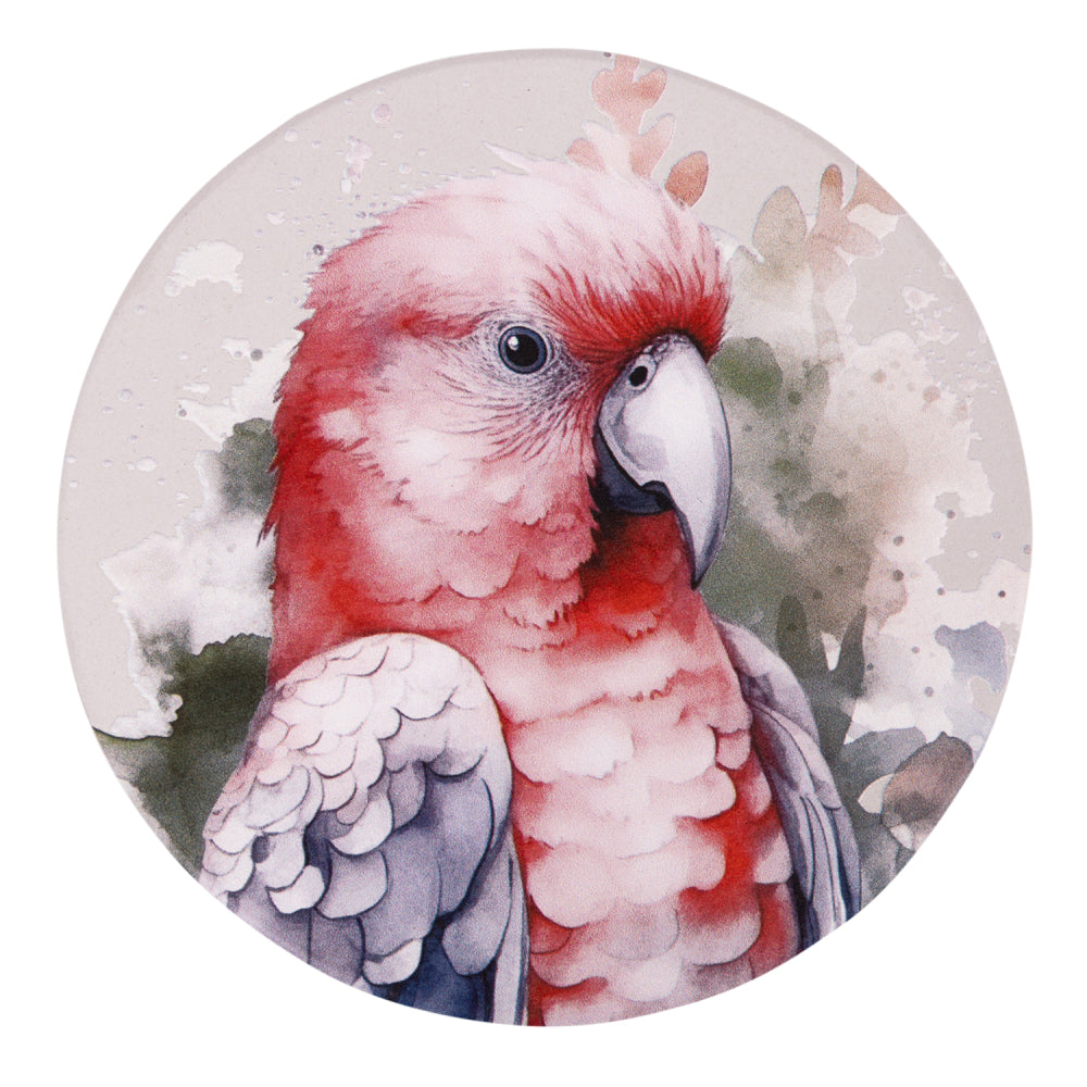 Native Blooms Ceramic Coasters | Splosh