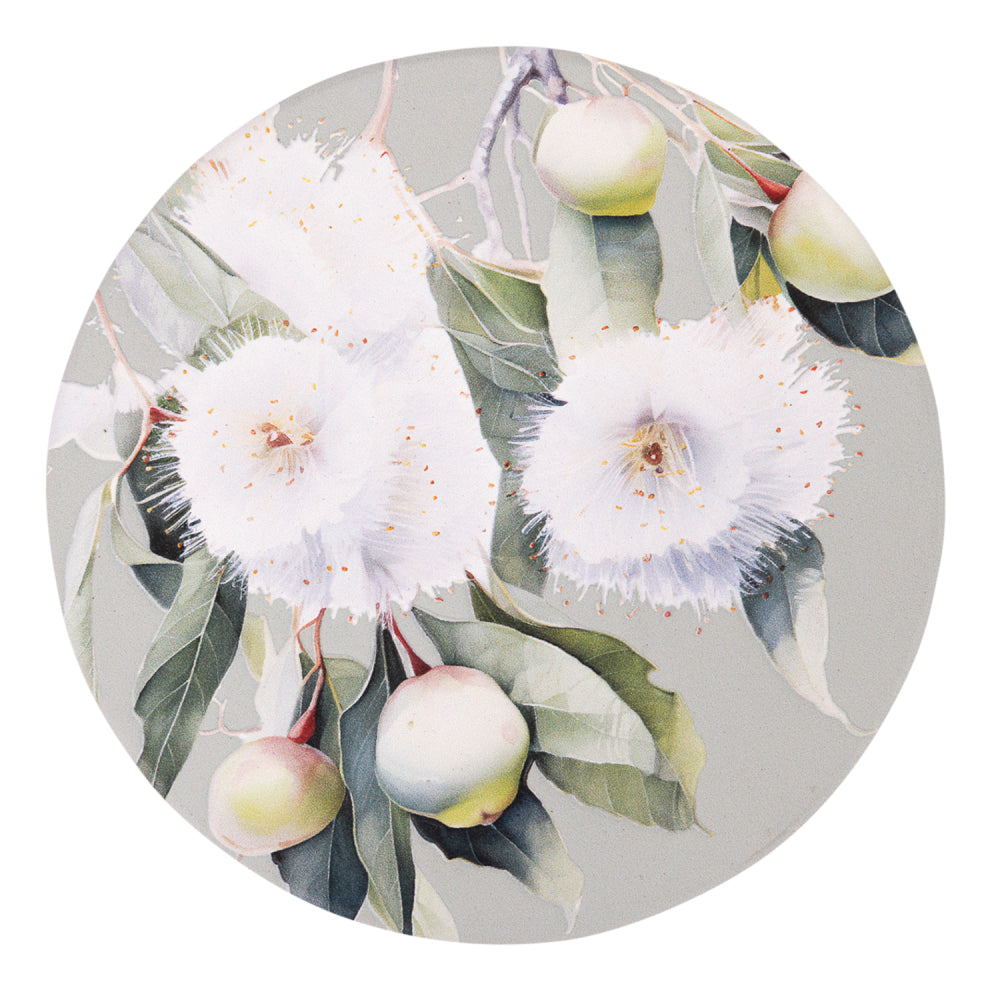 Native Blooms Ceramic Coasters | Splosh