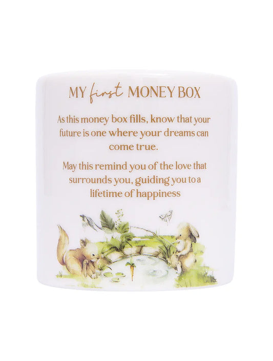 My First Money Box | Tiny Wonders