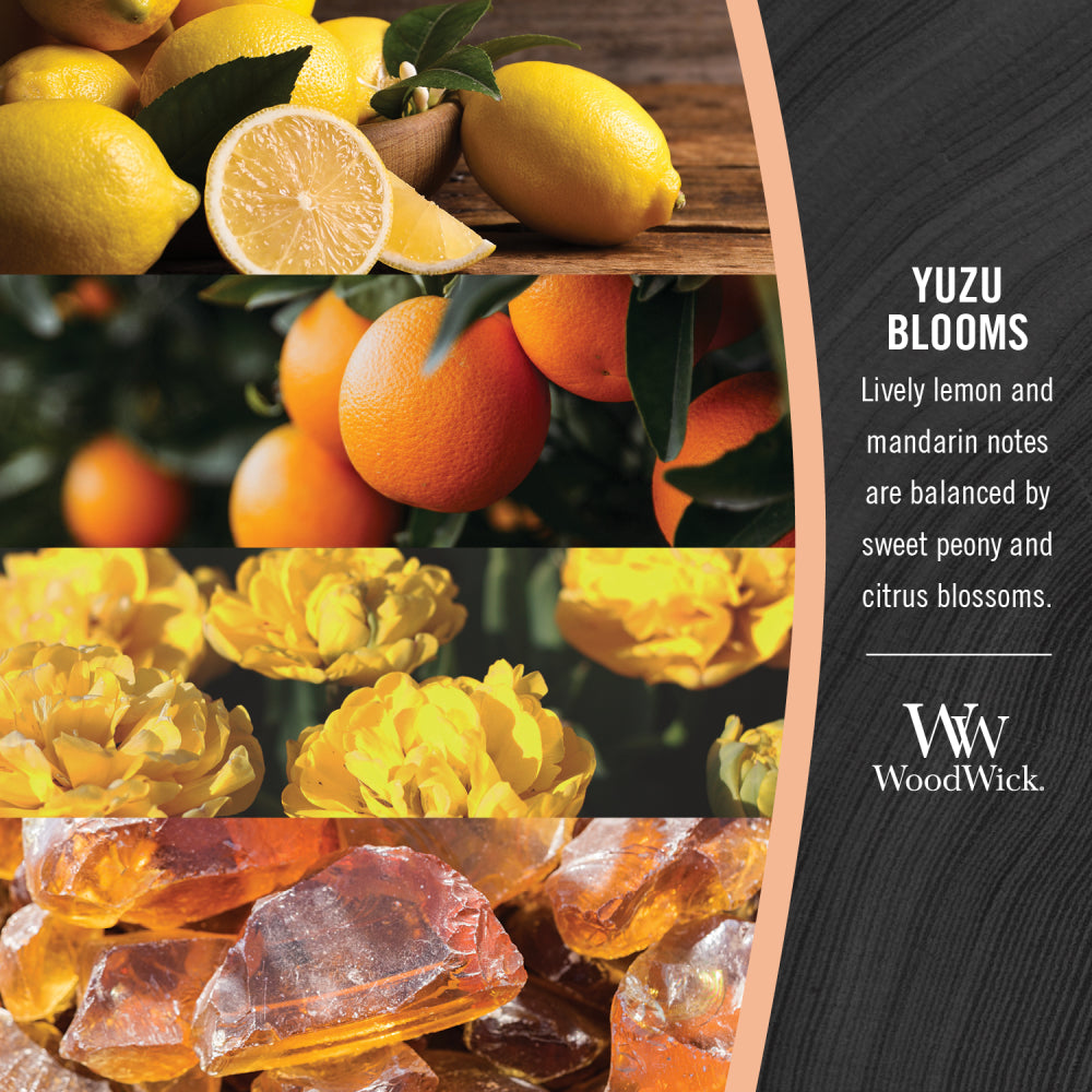 WoodWick Yuzu Blooms - Medium