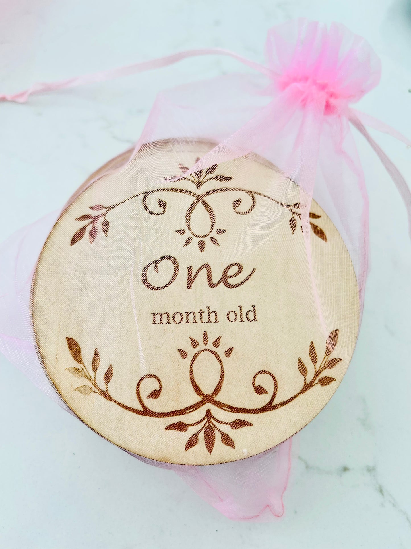 Baby Milestone Month Disc set